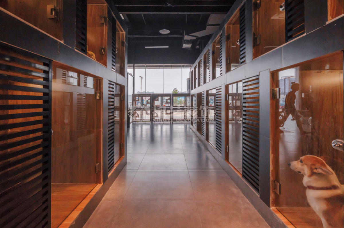 萬達(dá)廣場 寵物店