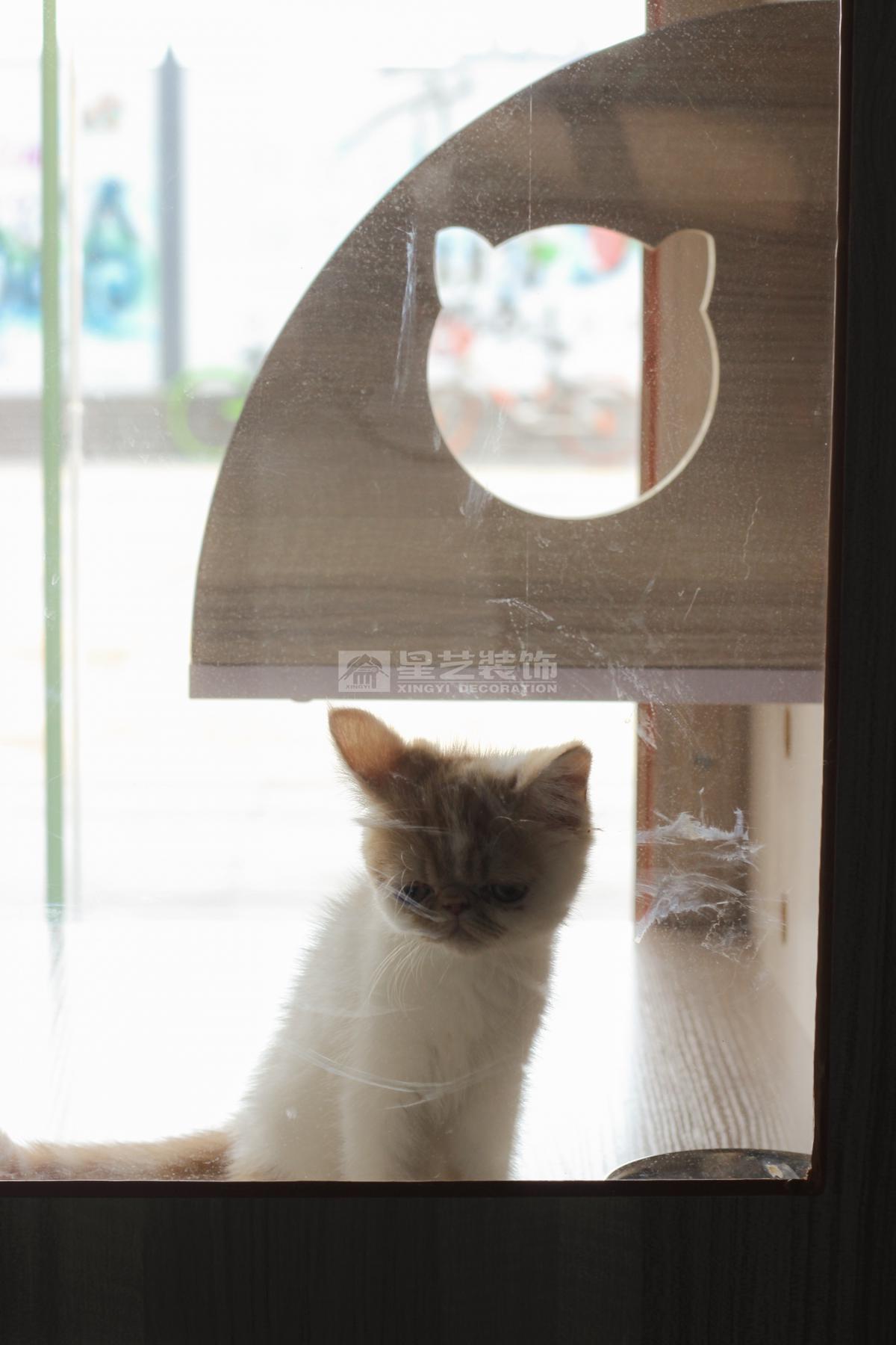 萬達(dá)廣場 寵物店